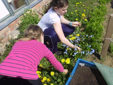 Gartentherapie für Kinder