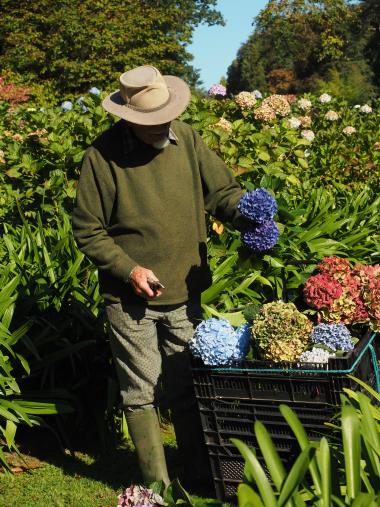 Ausbildung Gartentherapie